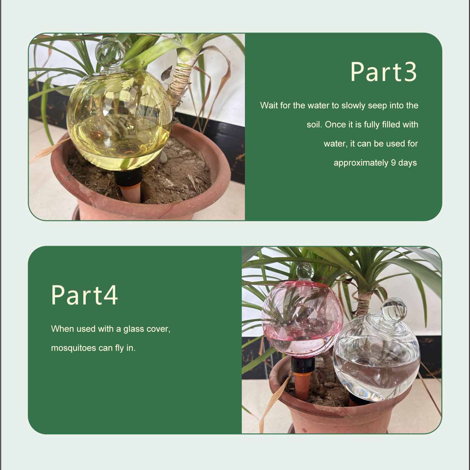 Plant Watering Globe - كرات ري ذاتية 500 مل، كرات