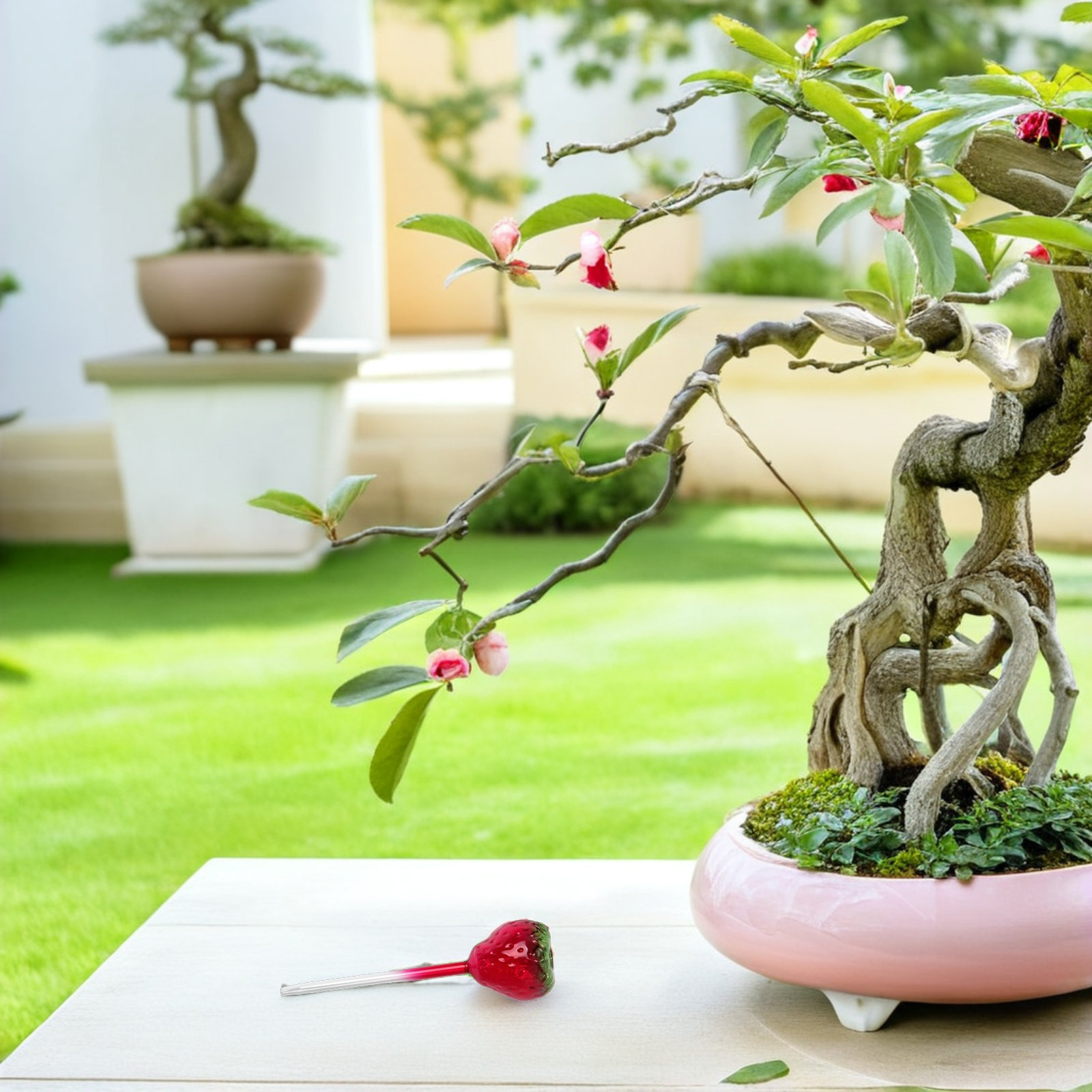 Plant Watering Globe - قطعتان من كرات الري الزجاجية لنباتات
