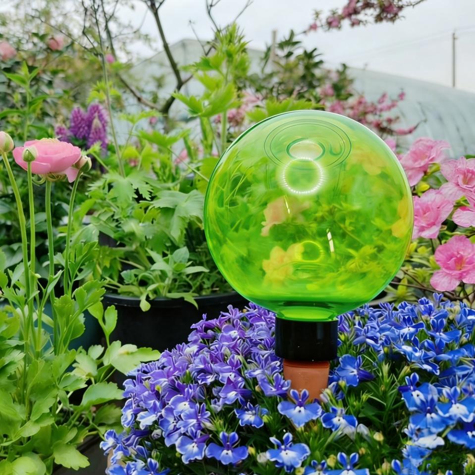 Plant Watering Globe - 3 قطع من كرات الري الذاتي