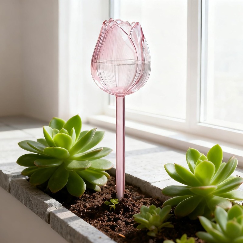 كرات سقي نباتات التوليب الوردي - مراجعة Plant Watering Globe وسعره