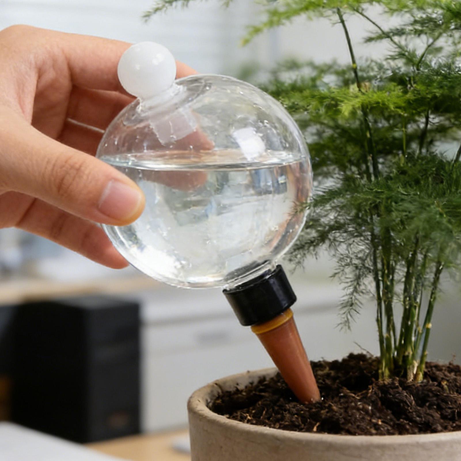 كرات سقي النباتات 4 قطع 500 مل - مراجعة Plant Watering Globe وسعره