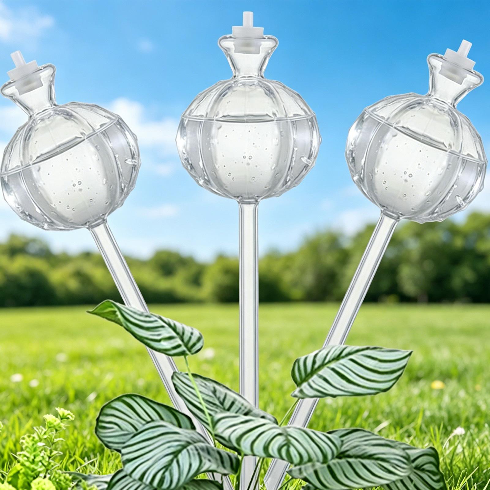 كرات ري ذاتي بطيء الإطلاق، 3 ق - مراجعة Plant Watering Globe وسعره