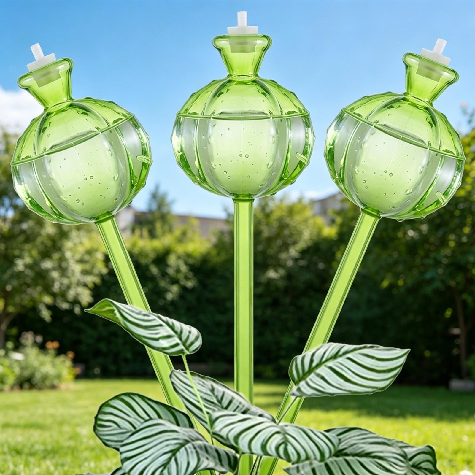 كرات ري ذاتي بطيء الإطلاق، 3 ق - مراجعة Plant Watering Globe وسعره