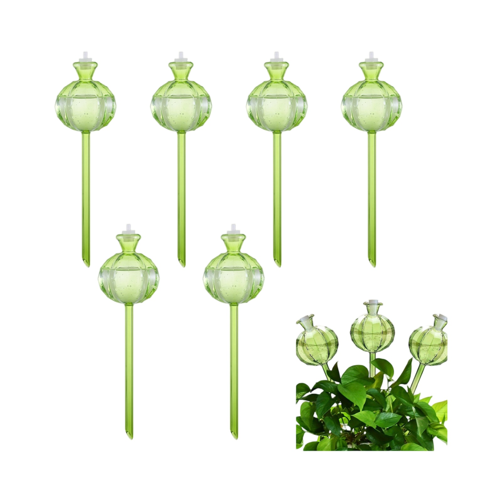 كرات سقي النباتات الأوتوماتيكي - مراجعة Plant Watering Globe وسعره