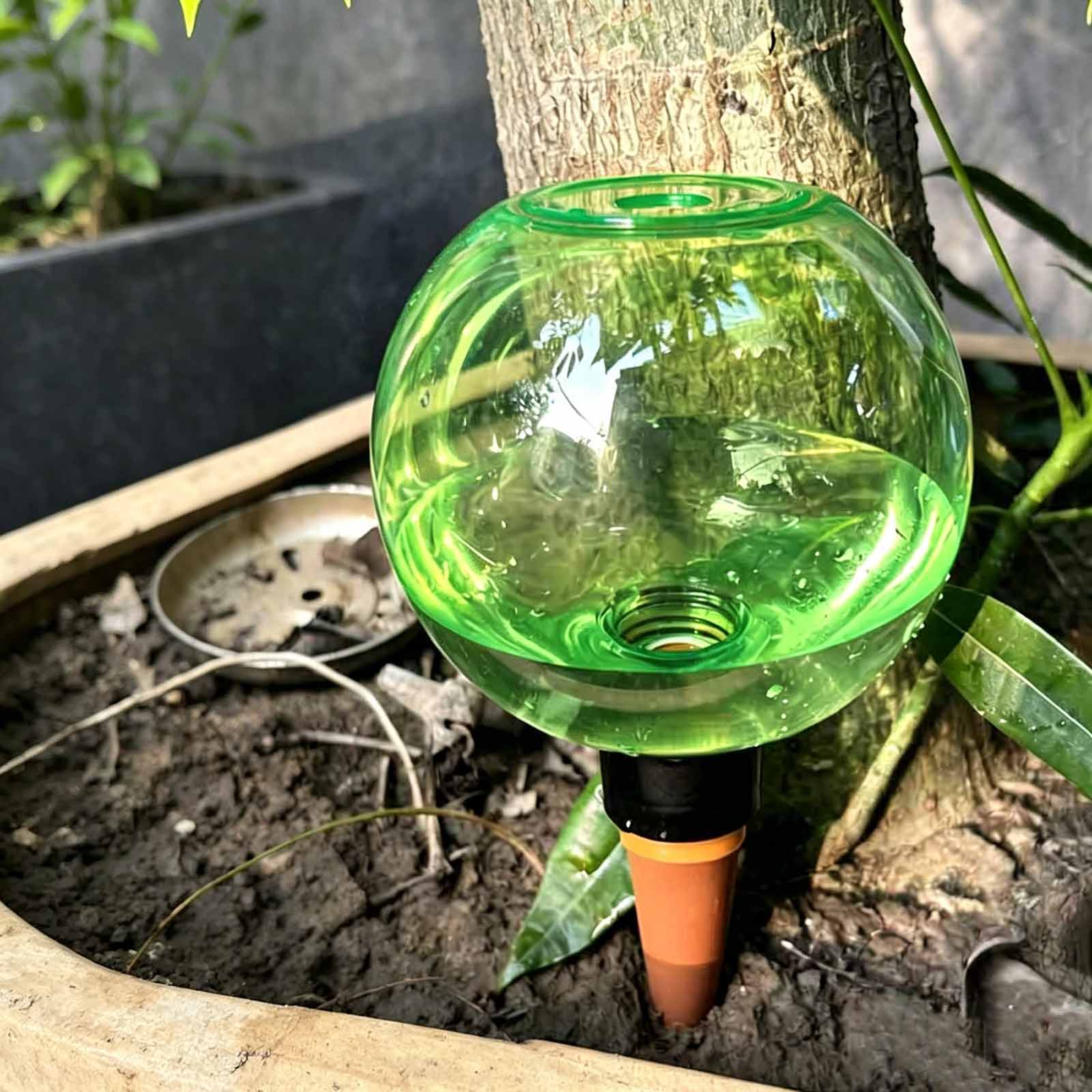 1/4 قطع من كرات الري الأوتومات - مراجعة Plant Watering Globe وسعره