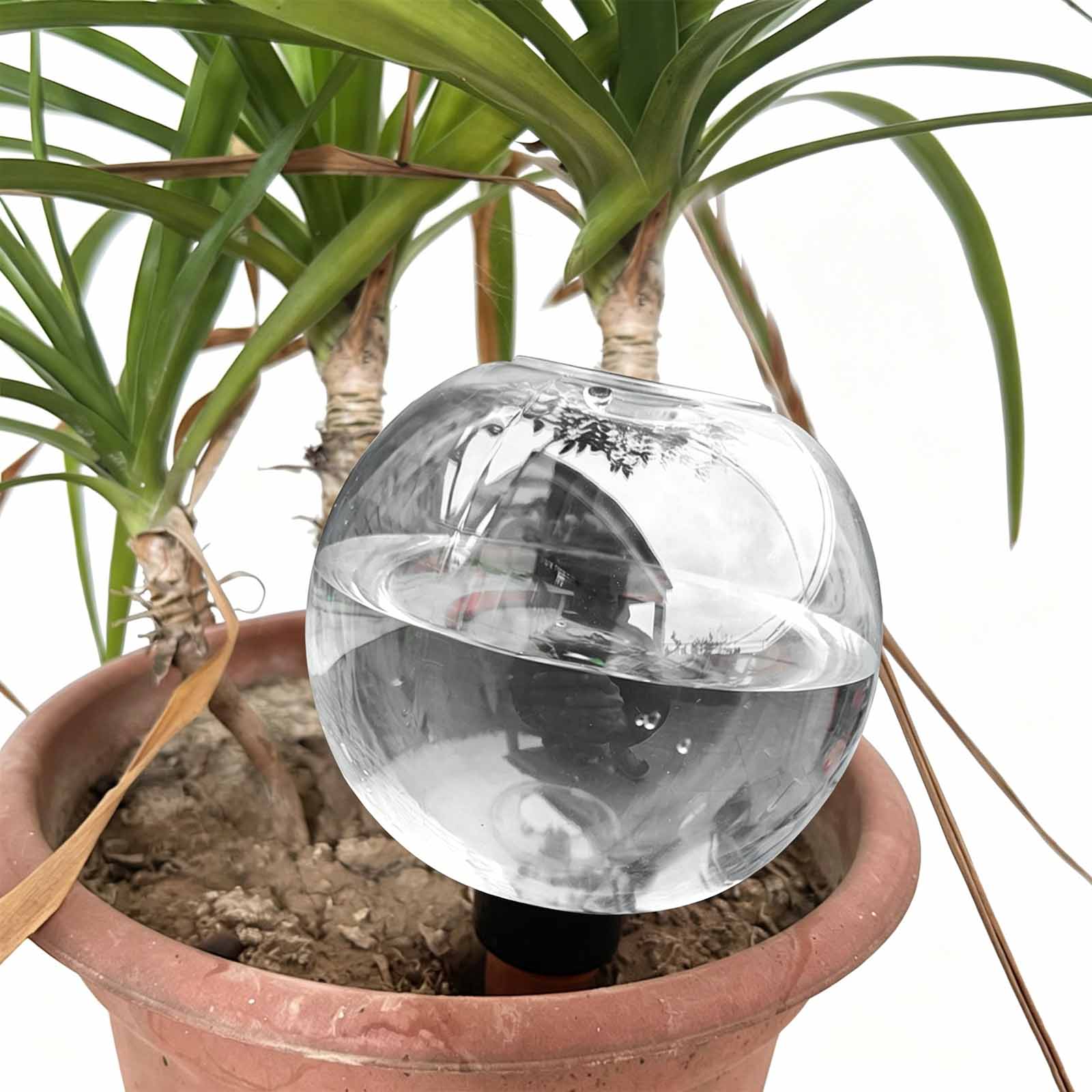1/4 قطع من كرات الري الأوتومات - مراجعة Plant Watering Globe وسعره