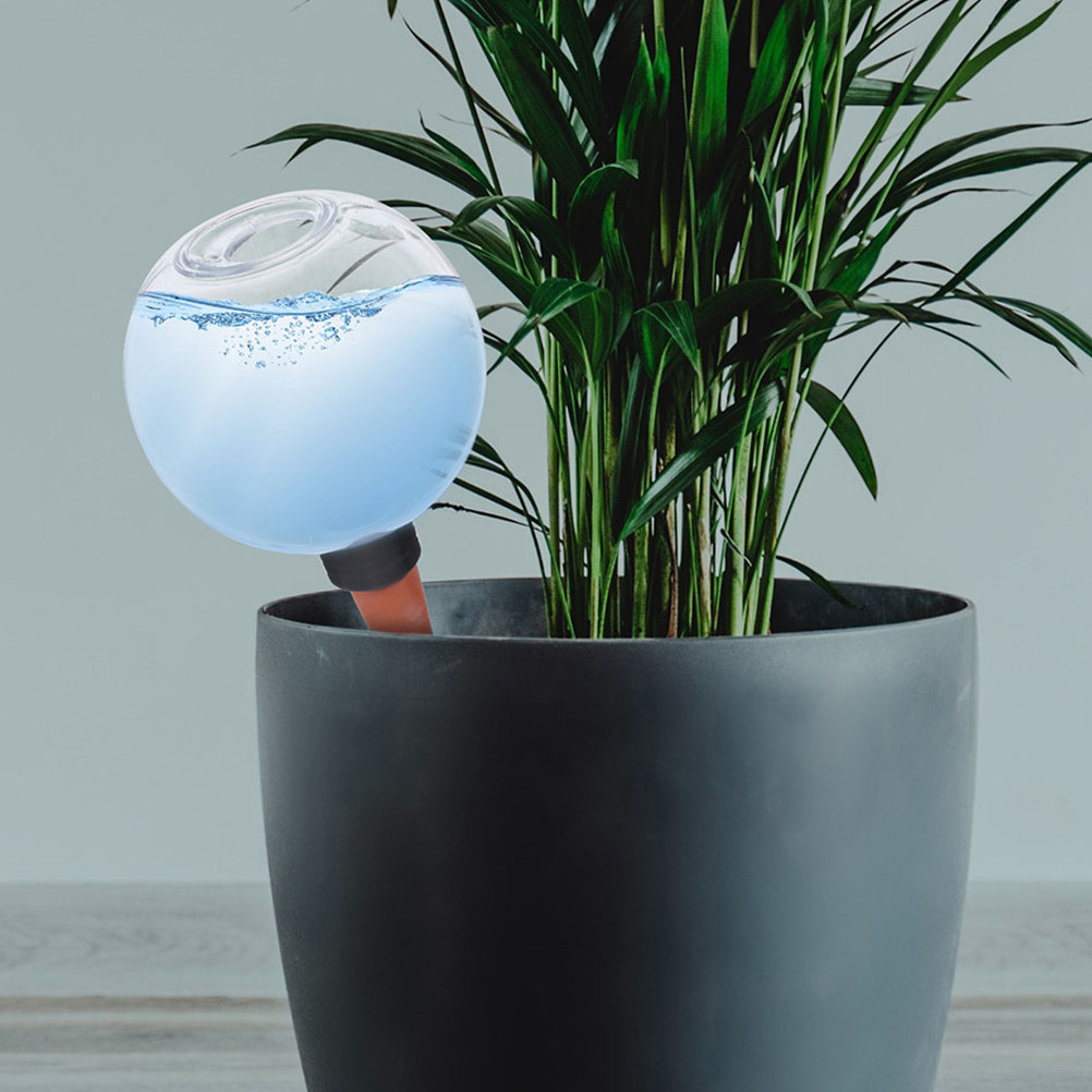 3 قطع من كرات الري الأوتوماتيك - مراجعة Plant Watering Globe وسعره