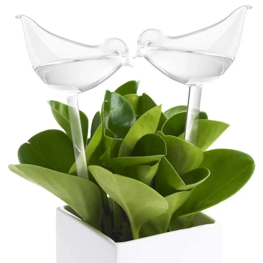 جهاز ري زهور أوتوماتيكي ، كرات - مراجعة Plant Watering Globe وسعره