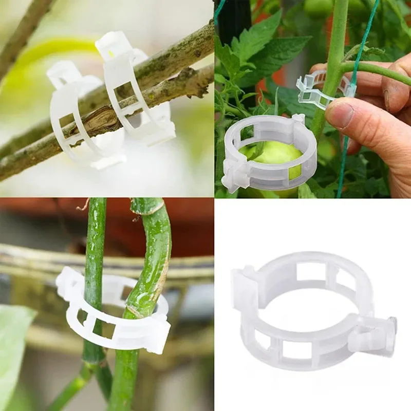 100 قطعة مقاطع تثبيت النباتات  - مراجعة Smart Garden Hub وسعره