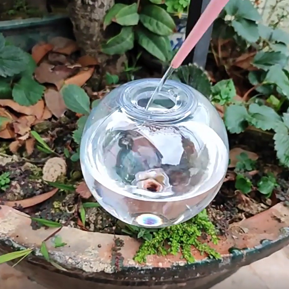 كرات ري ذاتية سعة 500 مل، نظام - مراجعة Plant Watering Globe وسعره
