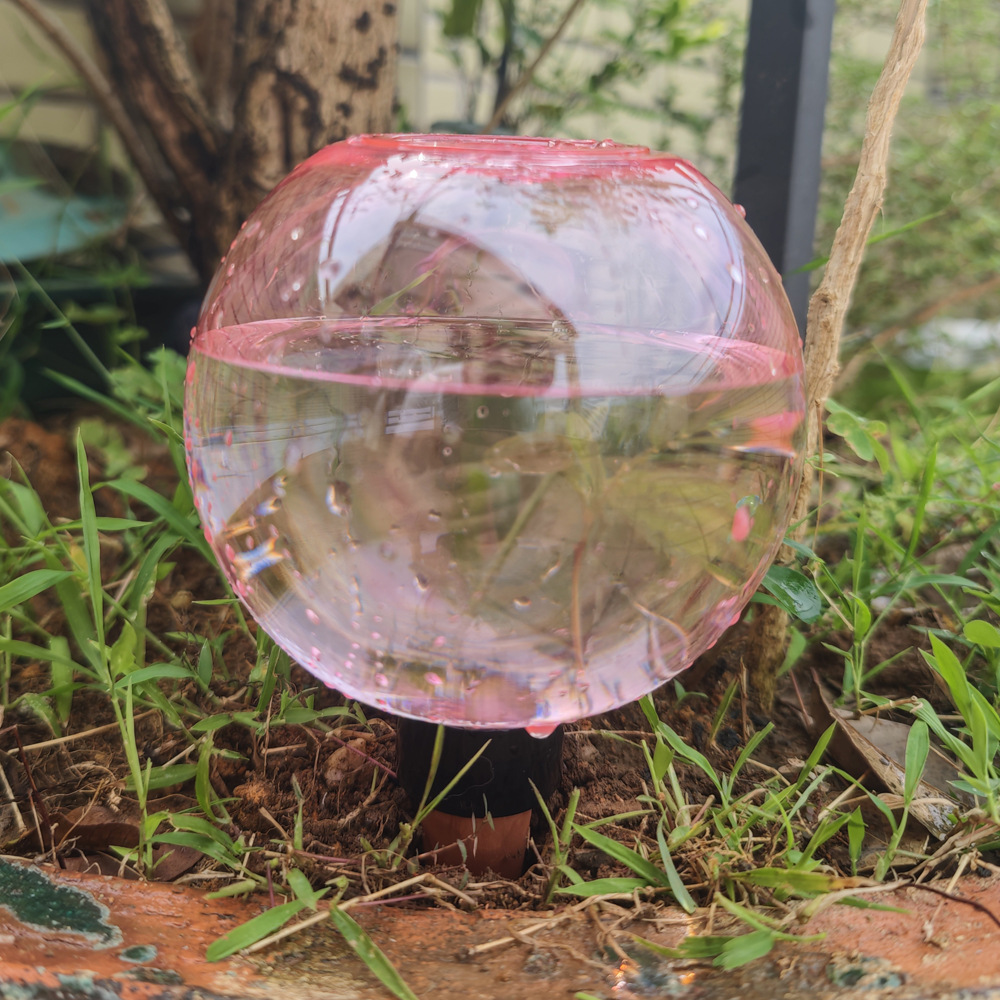 كرات ري أوتوماتيكية للنباتات س - مراجعة Plant Watering Globe وسعره