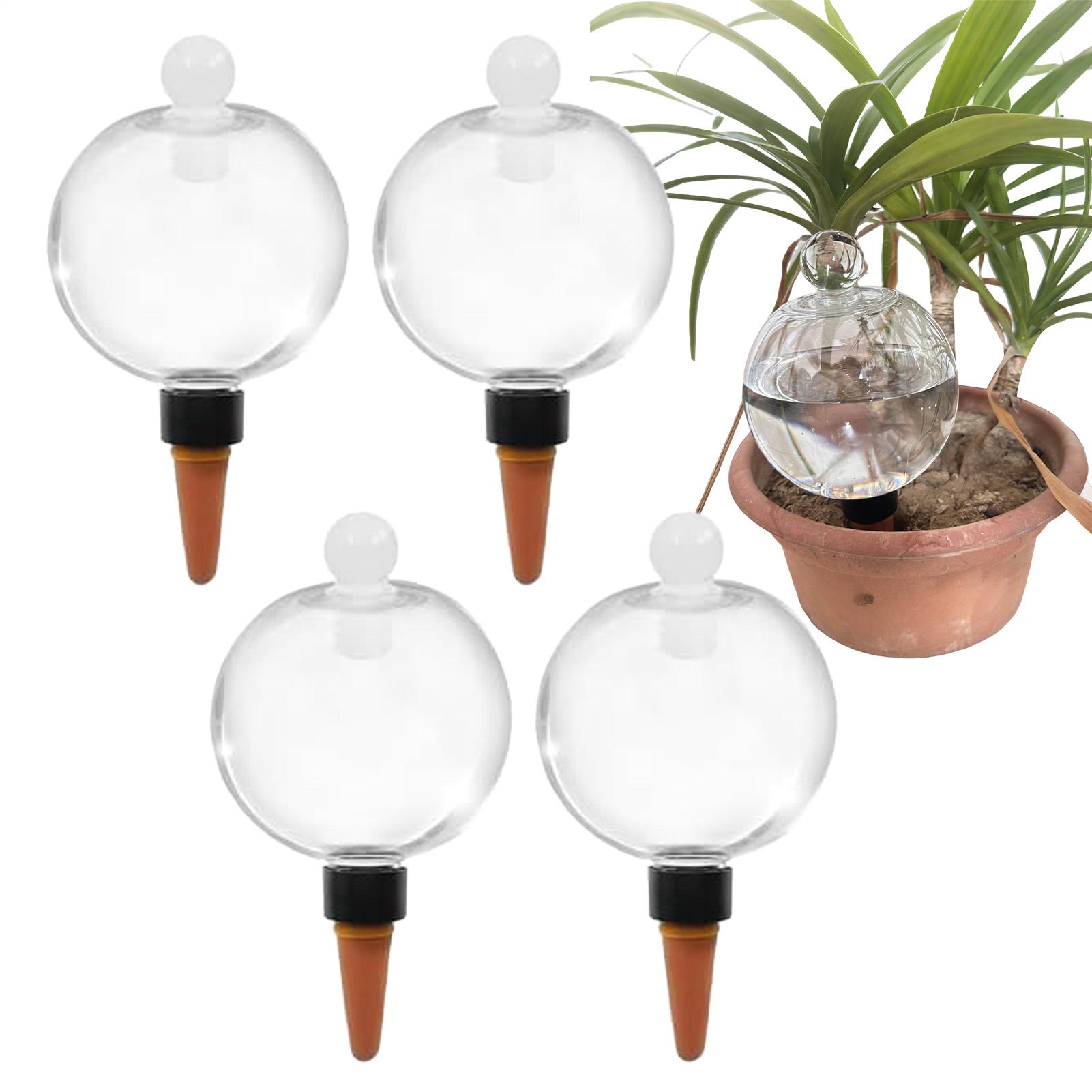 4 قطع من كرات الري البلاستيكية - مراجعة Plant Watering Globe وسعره