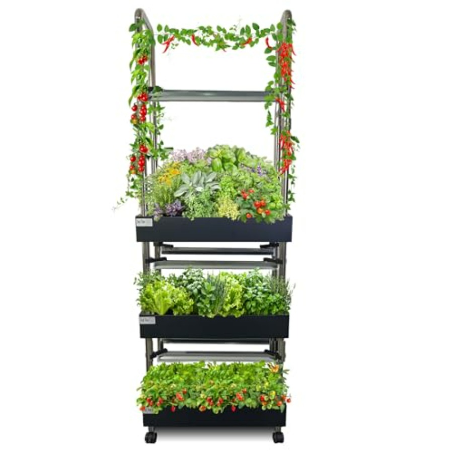 نظام زراعة مائية داخلي: حديقة  - مراجعة Smart Garden Vertical وسعره