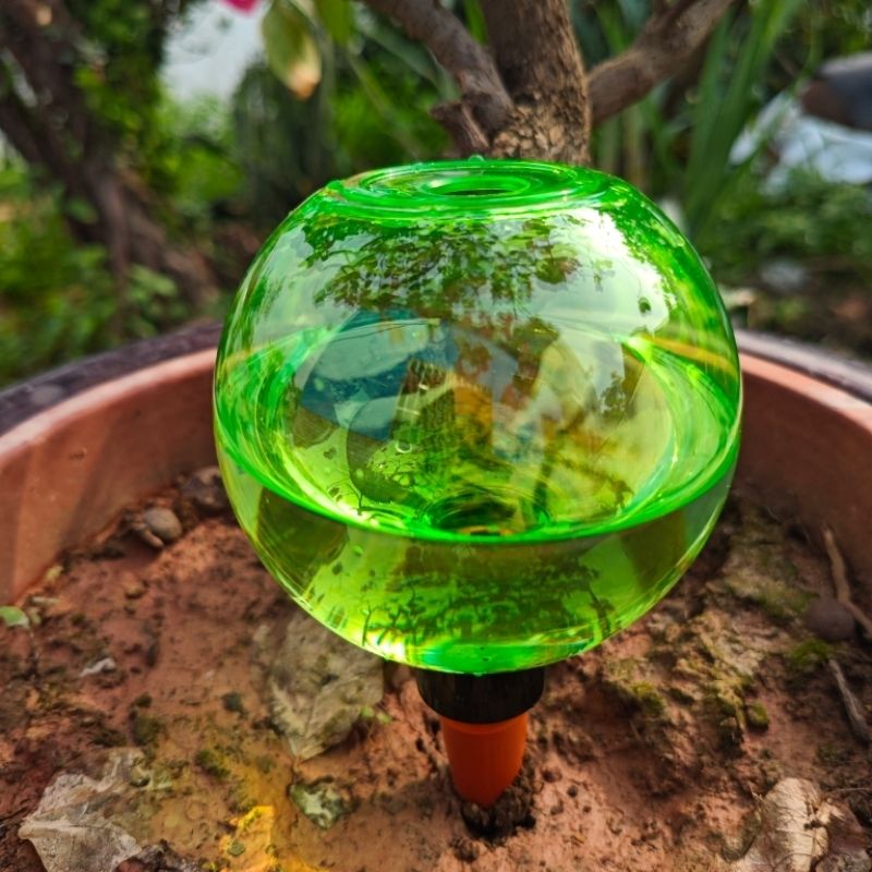 3 قطع من كرات الري الذاتي الكب - مراجعة Plant Watering Globe وسعره