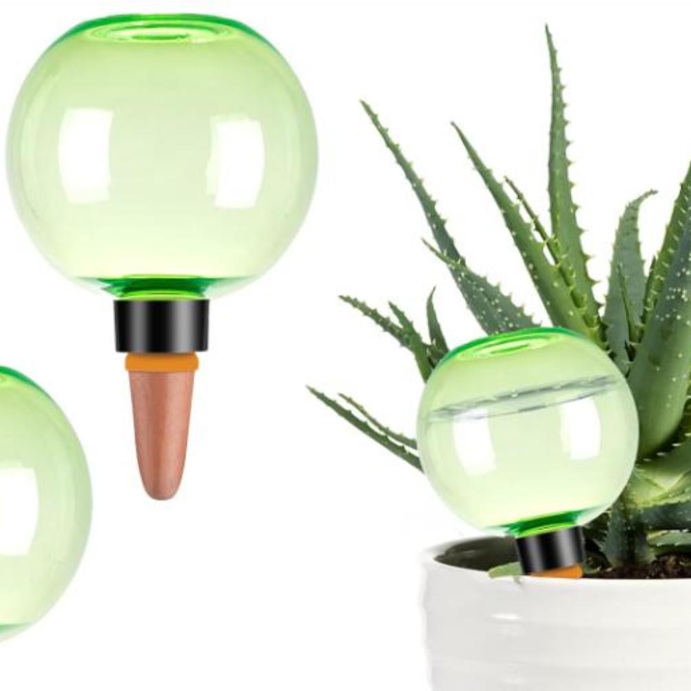 3 قطع من كرات الري الذاتي الكب - مراجعة Plant Watering Globe وسعره
