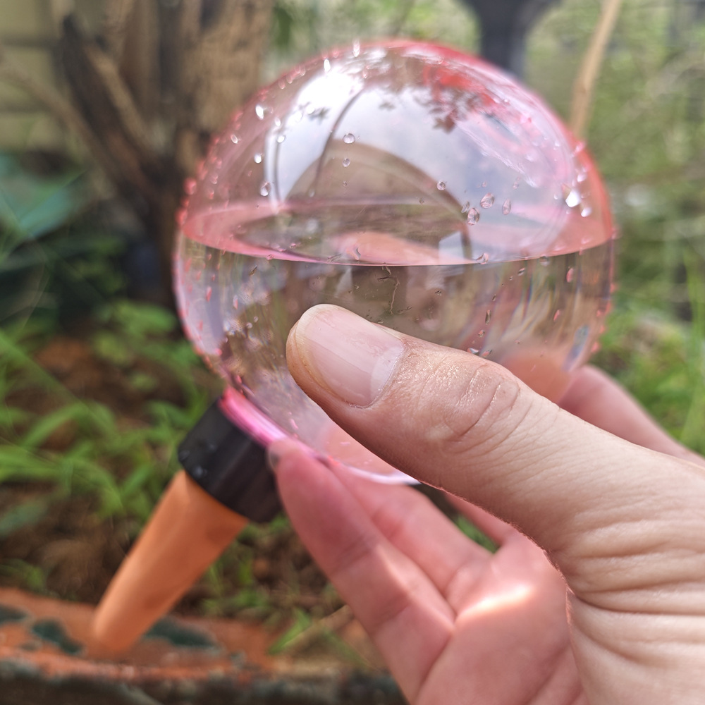 1/4 قطعة كرات ري ذاتي للنباتات - مراجعة Plant Watering Globe وسعره