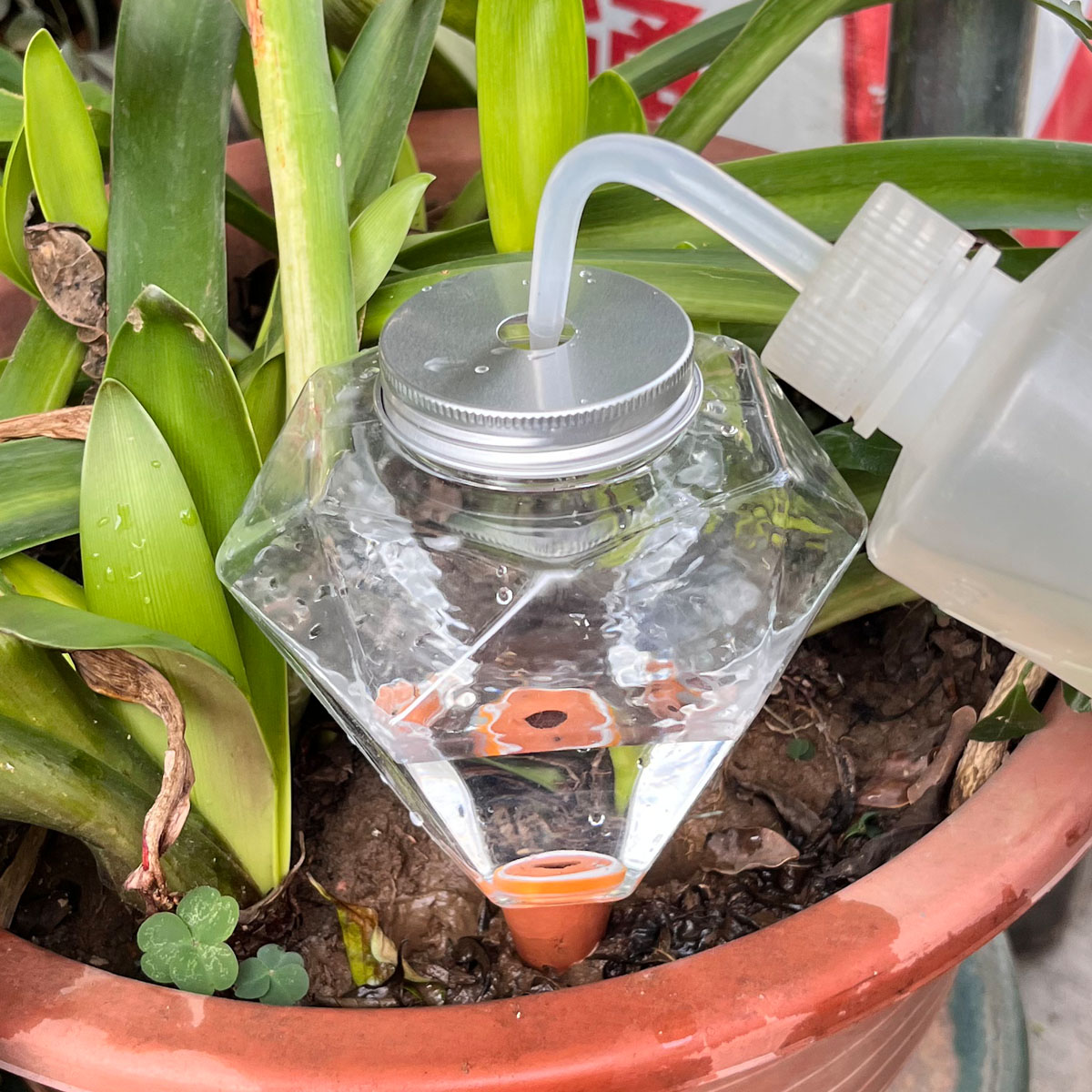 قطعة واحدة من جهاز سقي نباتات  - مراجعة Plant Watering Globe وسعره