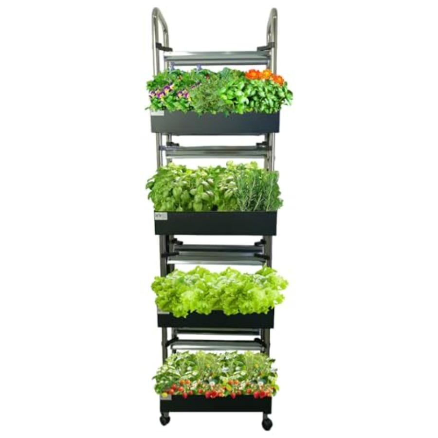 نظام زراعة مائية داخلي: حديقة  - مراجعة Smart Garden Vertical وسعره