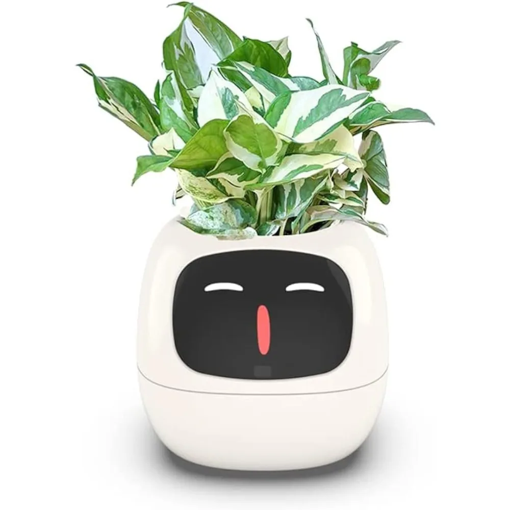 وعاء زهور ذكي مزود بشريحة ذكاء - مراجعة Smart Garden Offices وسعره