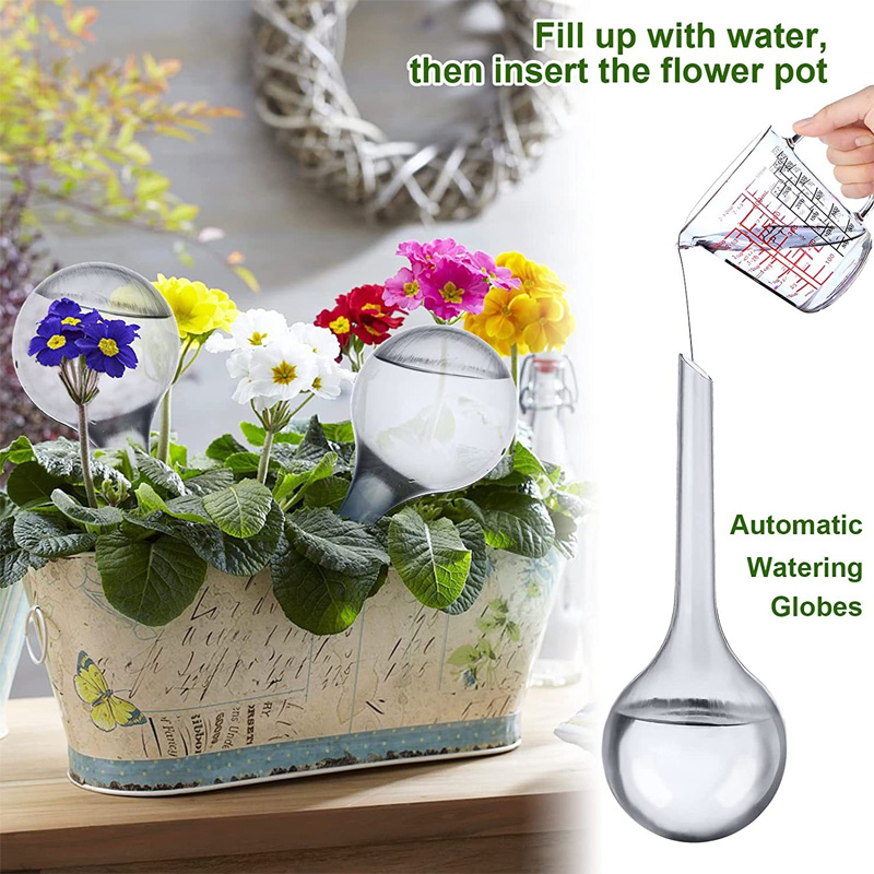 5/10 قطعة لمبات سقي النباتات ا - مراجعة Plant Watering Globe وسعره