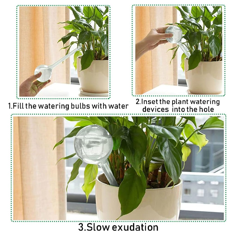 5/10 قطعة لمبات سقي النباتات ا - مراجعة Plant Watering Globe وسعره