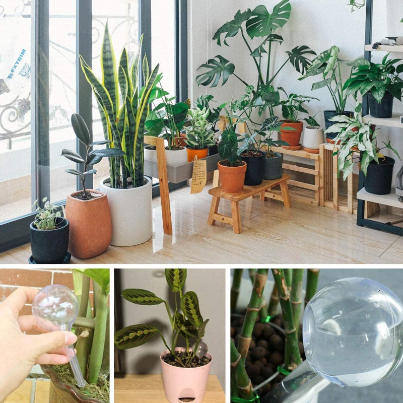 5/10 قطعة لمبات سقي النباتات ا - مراجعة Plant Watering Globe وسعره