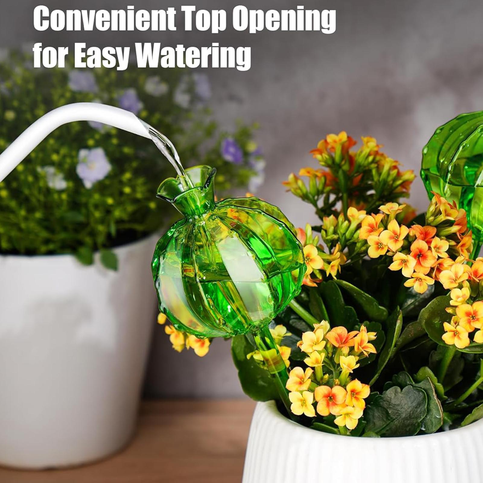 كرات ري النباتات الأوتوماتيكية - مراجعة Plant Watering Globe وسعره